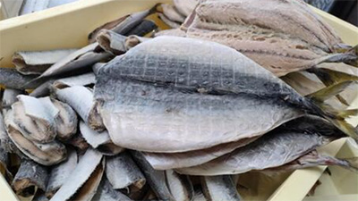 北海道,真ホッケ,旬の時期,縞ホッケ,違い,画像1